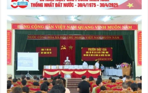 ĐẤU GIÁ THÀNH CÔNG 201 LÔ ĐẤT Ở MẶT BẰNG QUY HOẠCH KHU DÂN CƯ MỚI HAI BÊN ĐƯỜNG LÊ HOÀN, XÃ XUÂN LAI